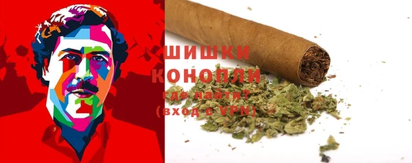 гидропоника Абаза