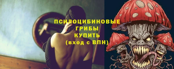 гидропоника Абаза