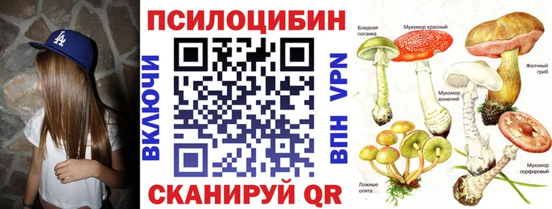 Галлюциногенные грибы Psilocybe купить наркотики сайты Новое Девяткино